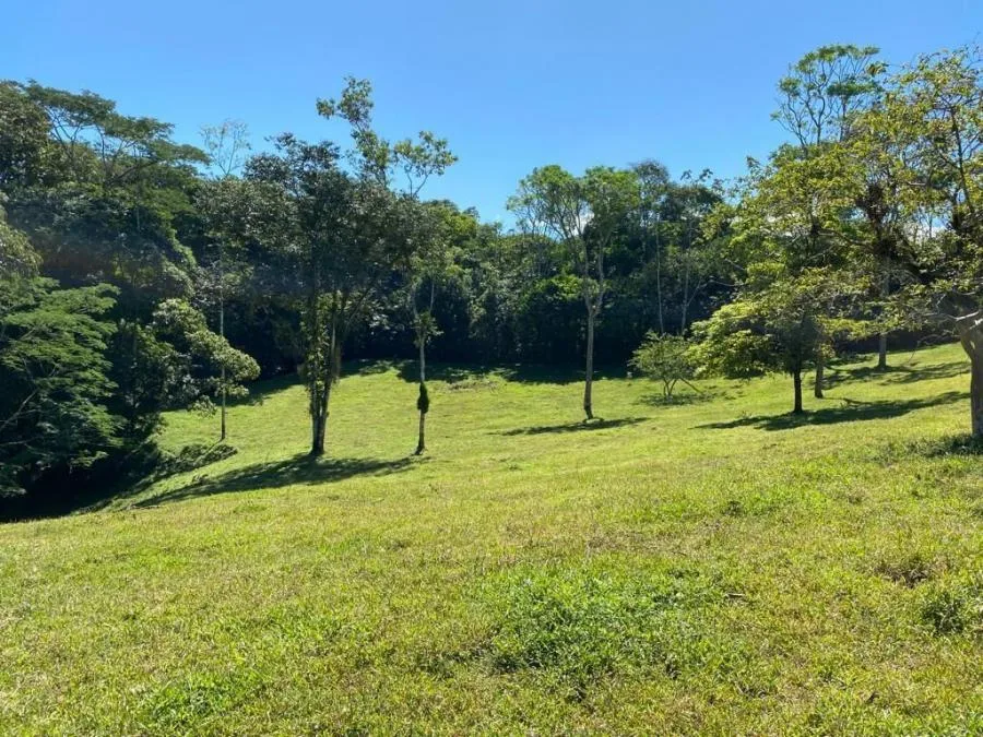 Finca en Venta en Grecia, Alajuela. RAH 25-1787 - Venta en Grecia