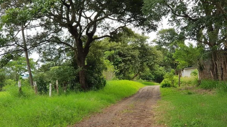 Venta de apartamento en planta baja ideal para inversión #26-1511 GS - Venta en Alajuela