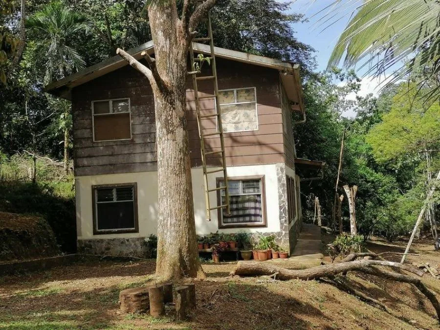 Venta de Lote en Sarapiquí | Precio Rebajado. - Venta en Sarapiquí