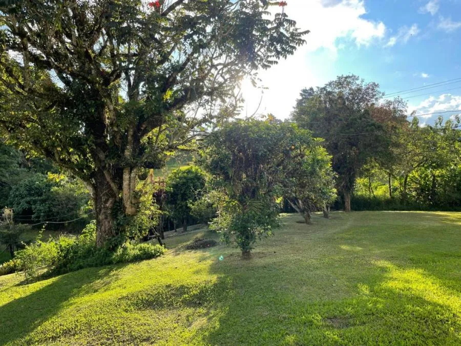 Venta de Finca en San Jerónimo de Moravia. RAH 26-592 - Venta en Moravia — photo 4