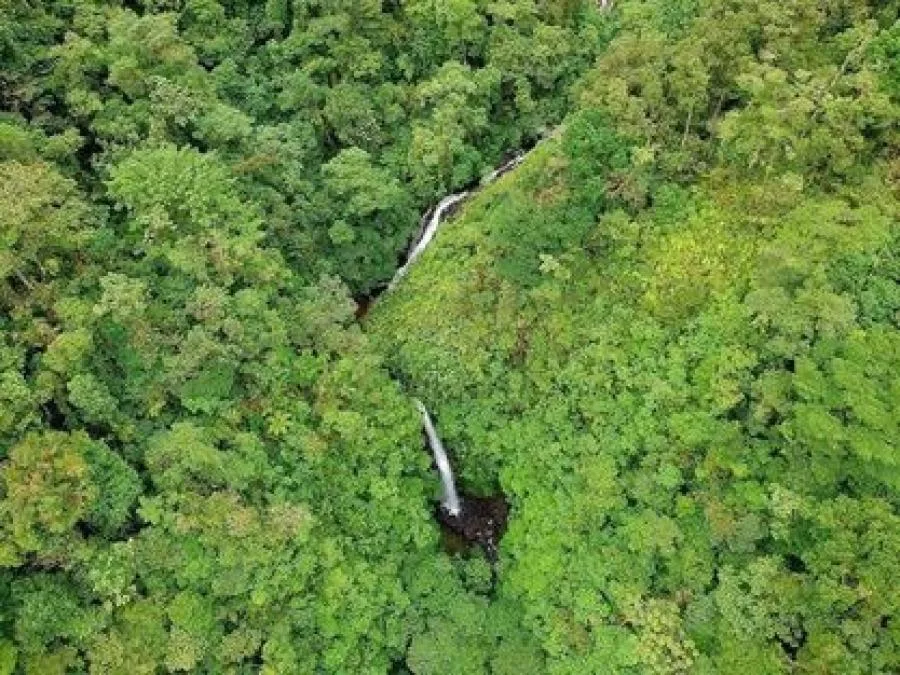 Descubre el Paraíso Escondido! Dos Fincas con 5 Cataratas en Cinchona, Alajuela - Venta en Sarapiquí