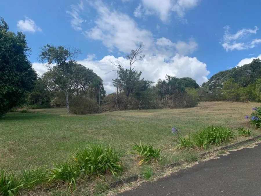Oficina En Alquiler De 486 M² En Oficentro En Escazú; Idi: 135537 - Alquiler / Renta en San Rafael — photo 5