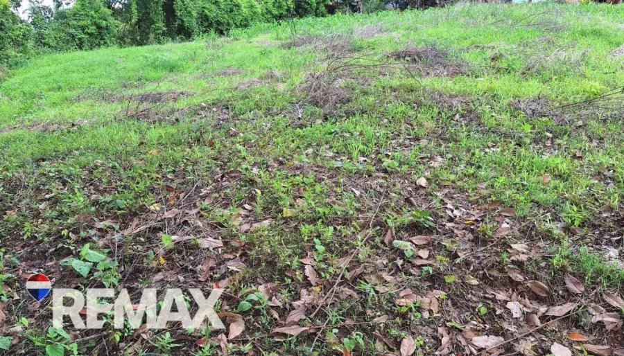GRAN LOTE 3.4 HA EN PEJIBAYE A PRECIO ACCESIBLE Y LISTO PARA DESARROLLAR - Venta en Perez Zeledón — photo 5
