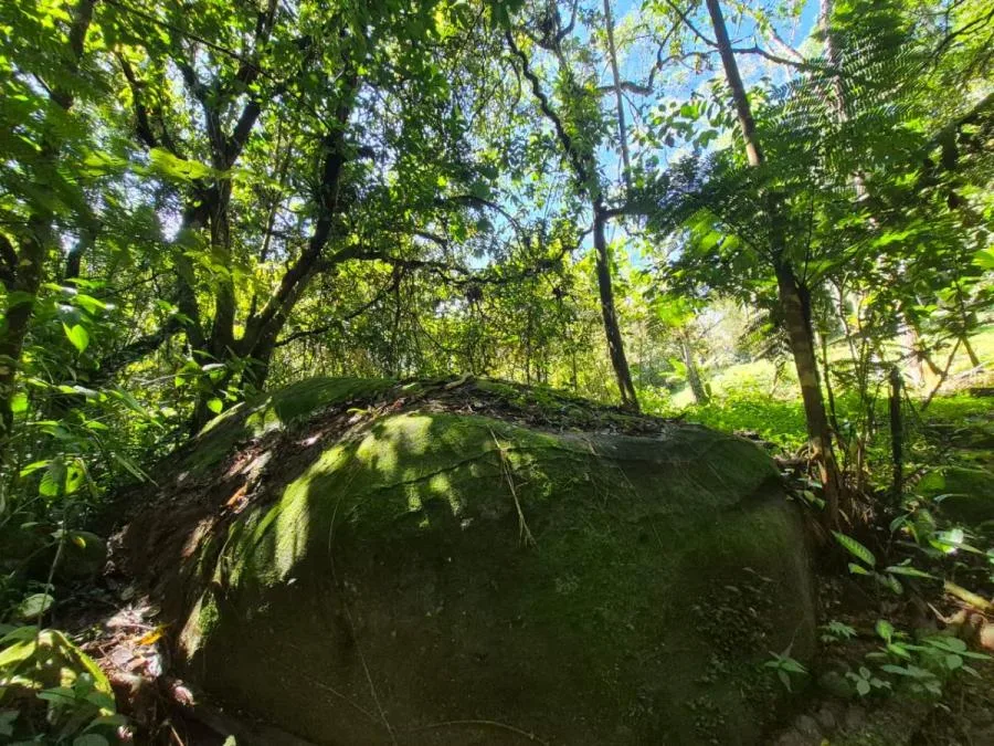 HERMOSA FINCA DE 10+ HECTÁREAS EN QUIZARRÁ, EXCELENTE UBICACIÓN - Venta en Perez Zeledón — photo 4