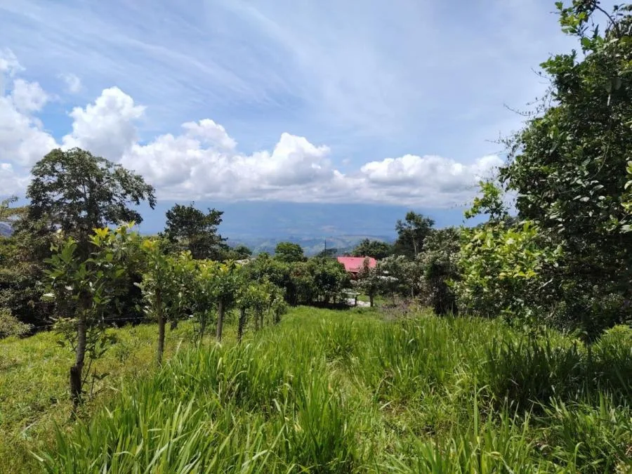 SE VENDE PRIVACIDAD TOTAL Y ATARDECERES INCREÍBLES - Venta en Perez Zeledón