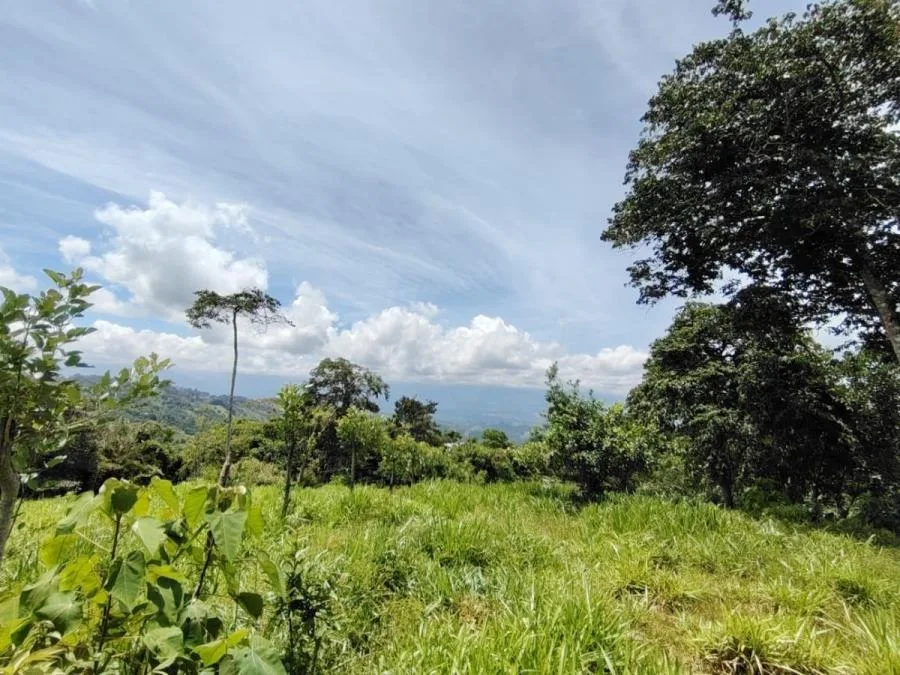 SE VENDE PRIVACIDAD TOTAL Y ATARDECERES INCREÍBLES - Venta en Perez Zeledón — photo 3