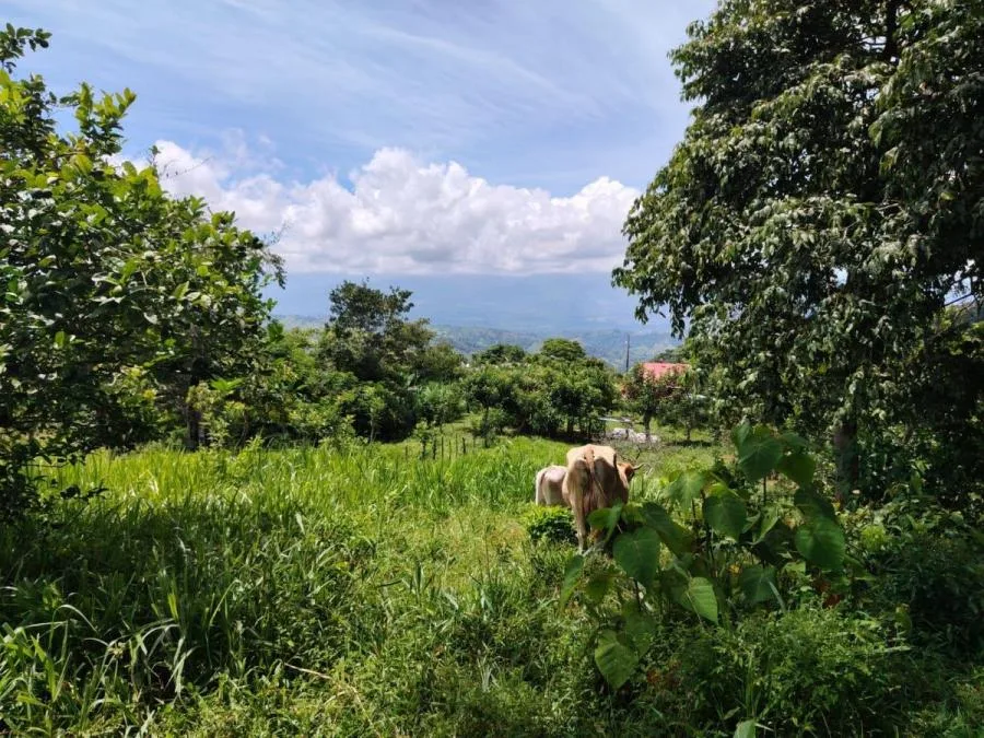 SE VENDE PRIVACIDAD TOTAL Y ATARDECERES INCREÍBLES - Venta en Perez Zeledón — photo 4