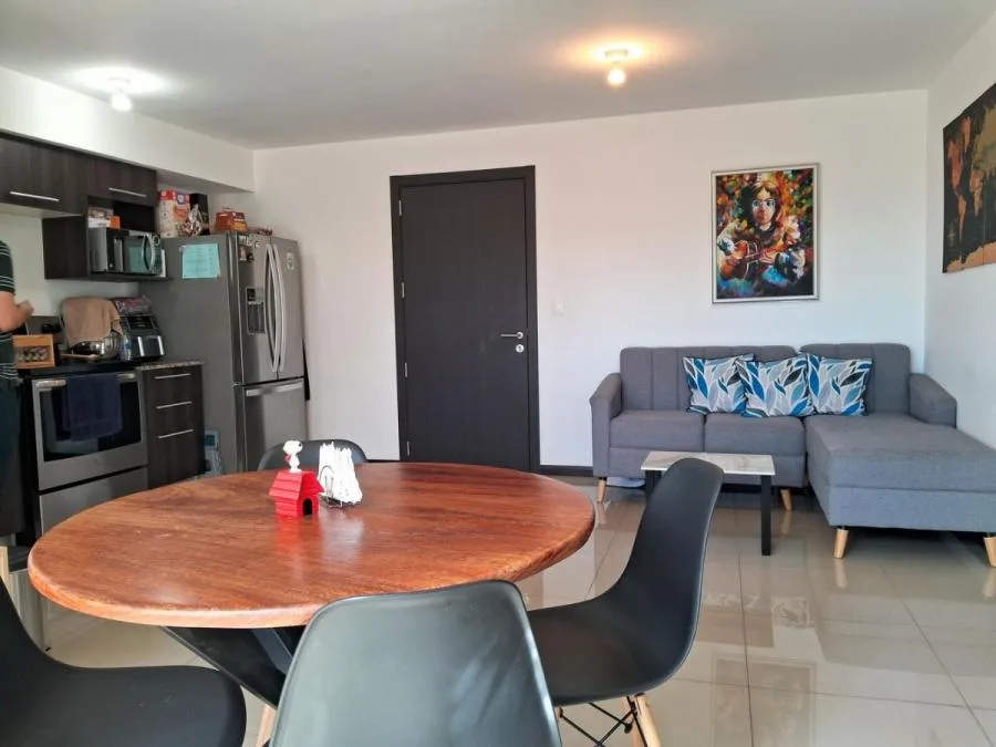 Alquilo apartamento de 2 habitaciones sin muebles en Granadilla Curridabat - Alquiler / Renta en Curridabat
