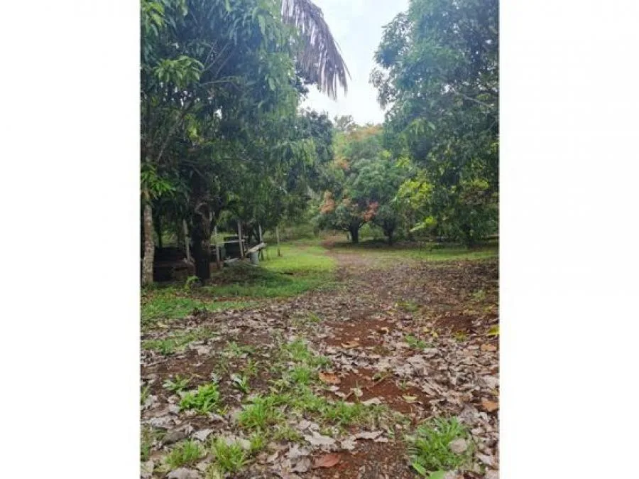 VENTA DE FINCA, GUANACASTE, SANTA CRUZ, RETALLANO - Venta en Santa Cruz