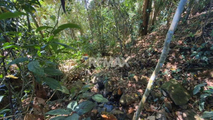 LOTE EN VENTA EN PÉREZ ZELEDÓN – 1,712 m² CON VISTA AL CERRO CHIRRIPÓ Y QUEBRADA - Venta en Perez Zeledón — photo 3