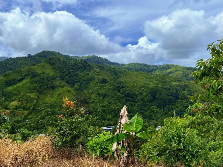 TERRENO EN VENTA EN COSTA RICA -1.4 HA EN CHIMIROL DE RIVAS - Venta en Perez Zeledón