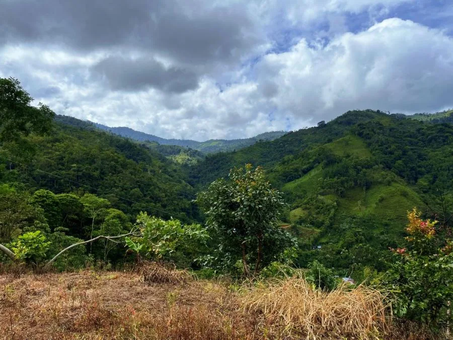 TERRENO EN VENTA EN COSTA RICA -1.4 HA EN CHIMIROL DE RIVAS - Venta en Perez Zeledón — photo 2