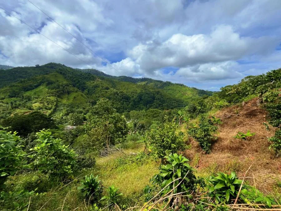 TERRENO EN VENTA EN COSTA RICA -1.4 HA EN CHIMIROL DE RIVAS - Venta en Perez Zeledón — photo 3