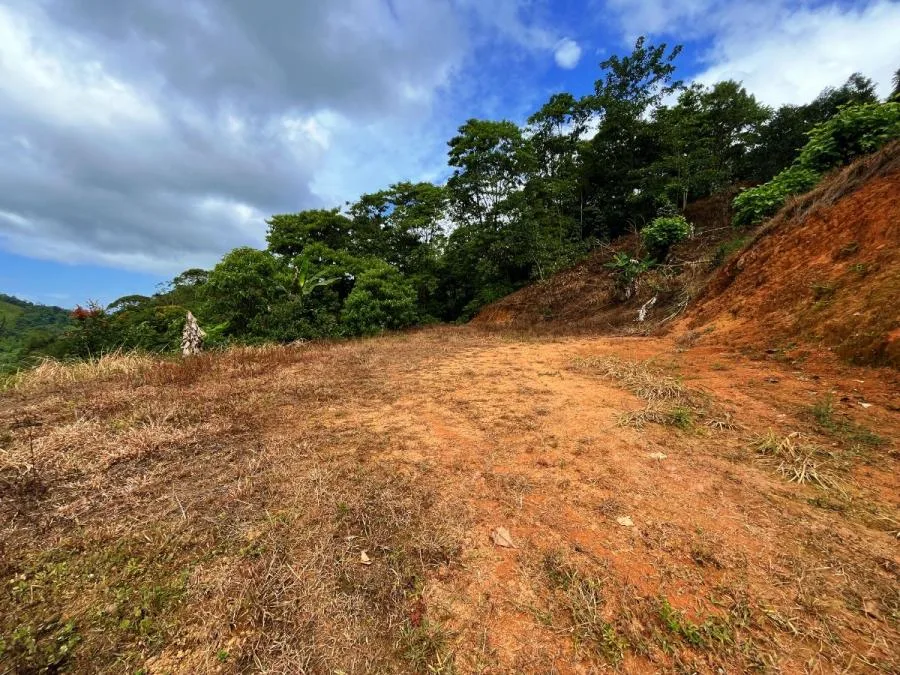 TERRENO EN VENTA EN COSTA RICA -1.4 HA EN CHIMIROL DE RIVAS - Venta en Perez Zeledón — photo 4