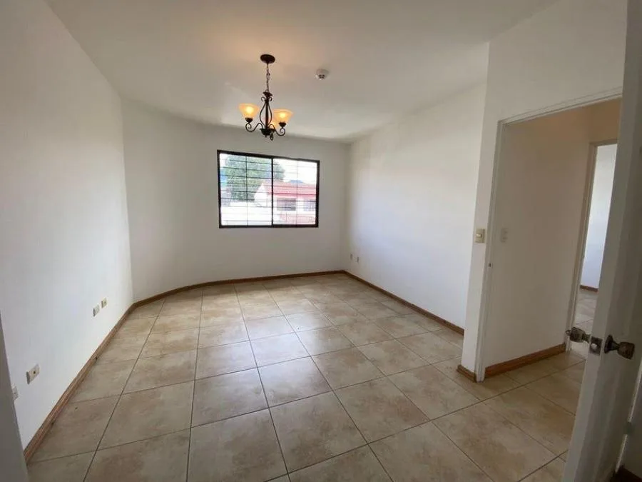alquiler de apartamento  - Alquiler / Renta en San José — photo 4