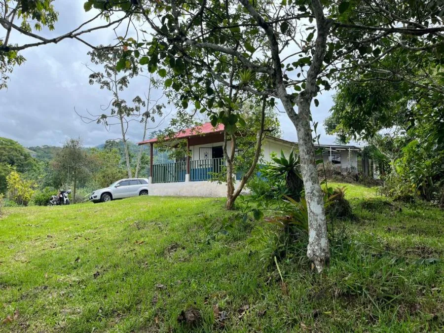 Quinta con Vista Espectacular en Venta en Cervantes, Cartago MLS 25-2018 - Venta en Alvarado
