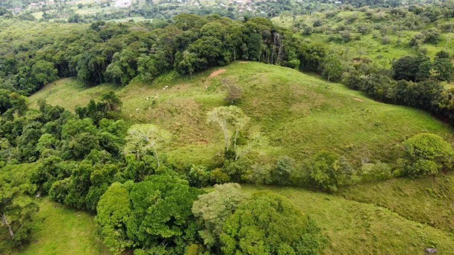 EN VENTA: IMPRESIONANTE FINCA DE 9 HECTÁREAS EN SAN BLAS CON NACIENTES - Venta en Perez Zeledón