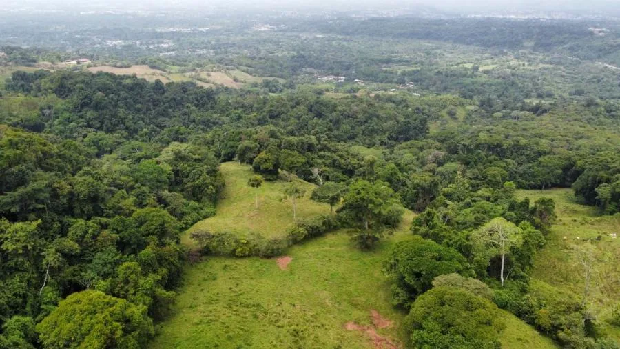 EN VENTA: IMPRESIONANTE FINCA DE 9 HECTÁREAS EN SAN BLAS CON NACIENTES - Venta en Perez Zeledón — photo 2