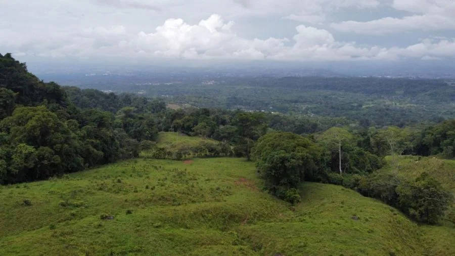 EN VENTA: IMPRESIONANTE FINCA DE 9 HECTÁREAS EN SAN BLAS CON NACIENTES - Venta en Perez Zeledón — photo 3