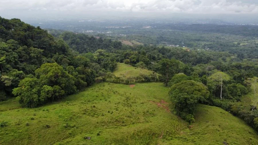 EN VENTA: IMPRESIONANTE FINCA DE 9 HECTÁREAS EN SAN BLAS CON NACIENTES - Venta en Perez Zeledón — photo 4