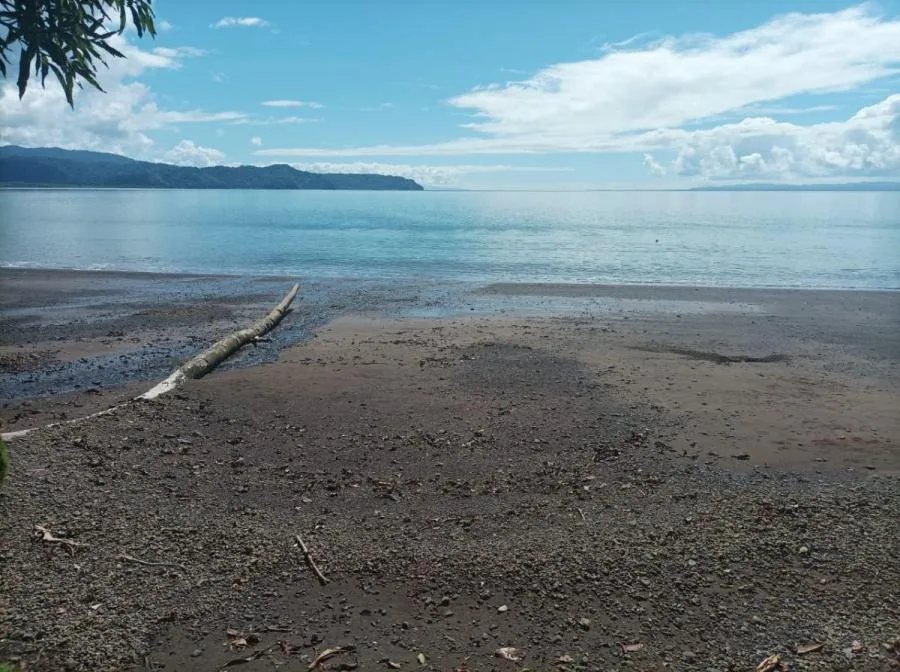 FINCA EN GOLFITO FRENTE AL GOLFO DULCE EN VENTA - Venta en Golfito