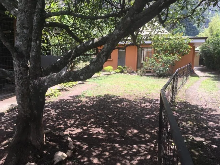 alquiler de casa en san jose escazu - Alquiler / Renta en Escazú