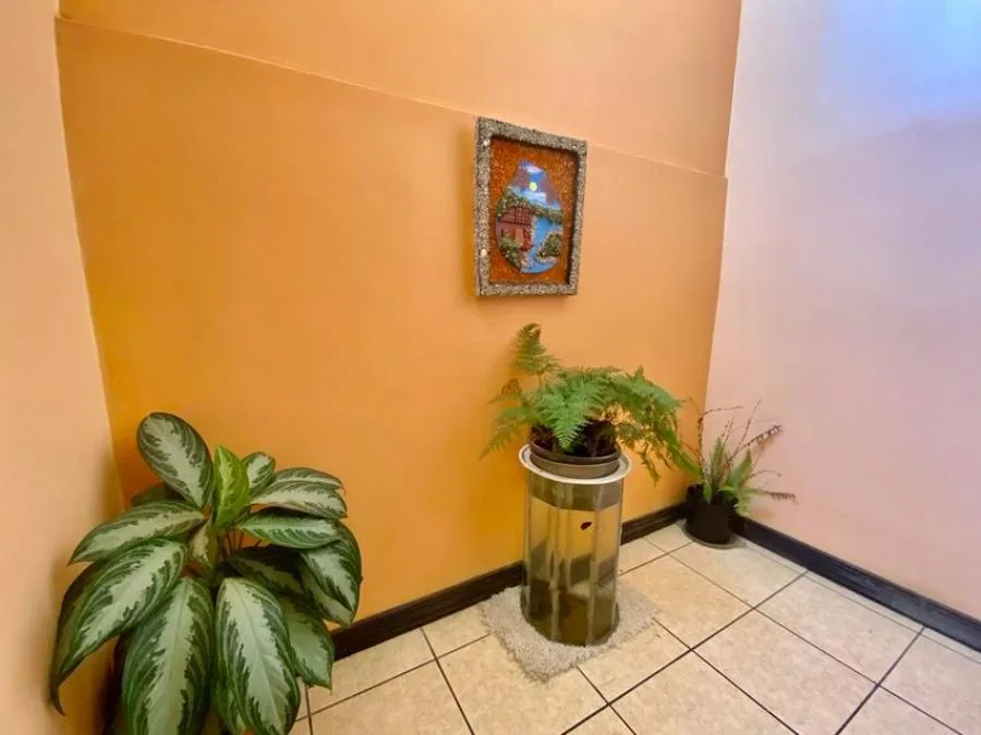Venta de casa Cinco Esquinas Tibas Un Nivel - Venta en Tibás — photo 4
