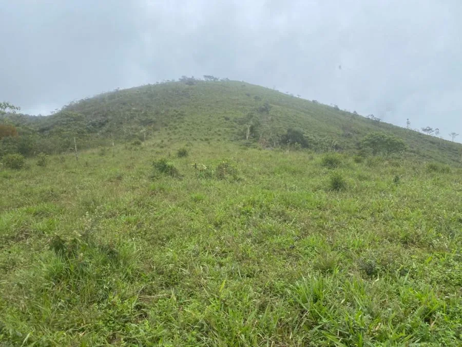 HERMOSA FINCA DE 50 HECTÁREAS EN BIOLLEY, PUNTARENAS – CERCA DEL PARQUE LA AMISTAD - Venta en Buenos Aires