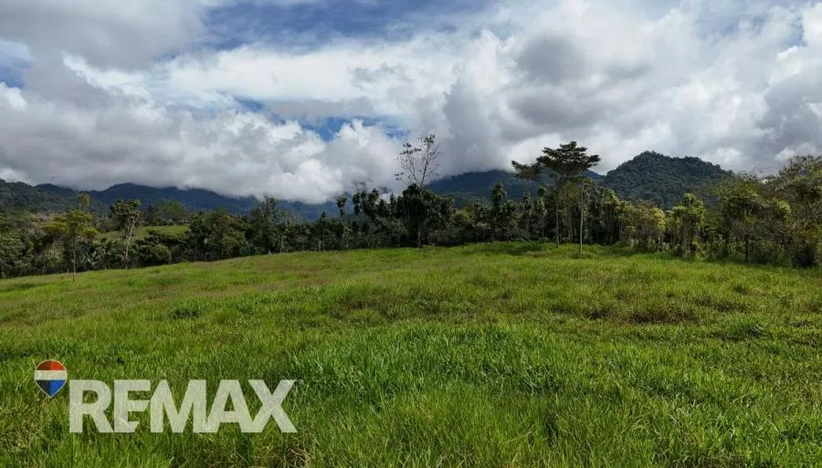 LOTE EN SANTA ELENA PARA CONSTRUIR – OPORTUNIDAD DE INVERSIÓN - Venta en Perez Zeledón — photo 4