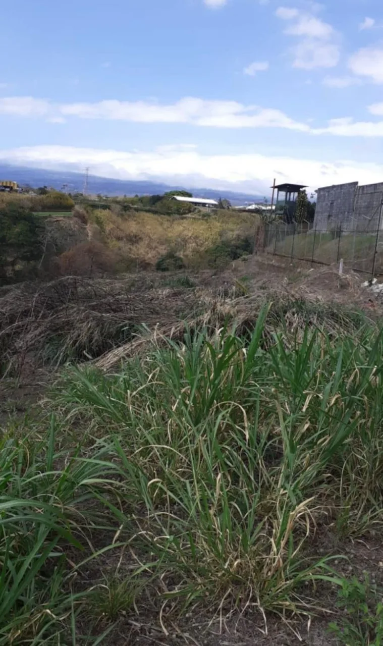 VENTA DE LOTE, SAN JOSE, TIBAS  - Venta en Tibás — photo 5
