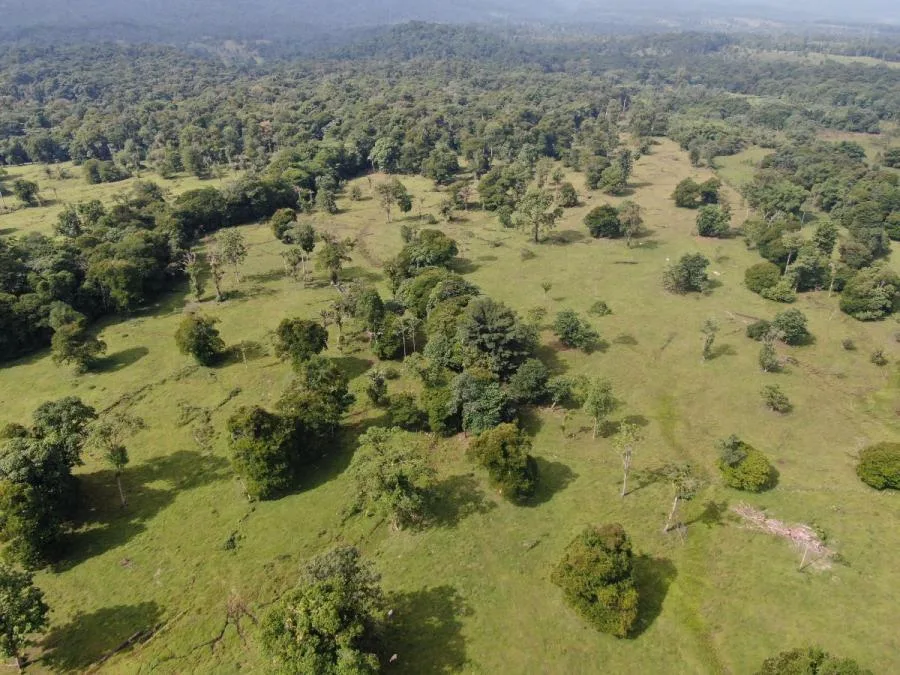 Venta de Finca en Horquetas de Sarapiquí, Heredia. - Venta en Sarapiquí