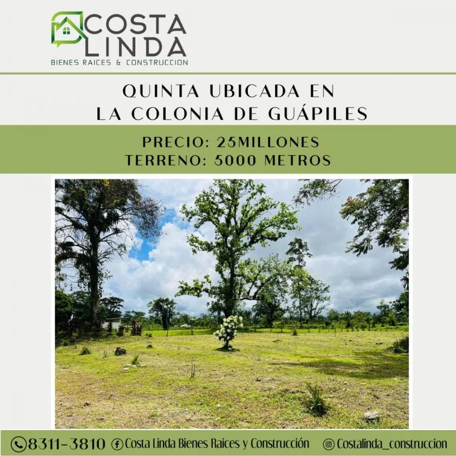 SE VENDE FINCA EN LIMÓN, TORTUGUERO APTA PARA OXIGENO - 1086 HECTÁREAS - Venta en Pococí