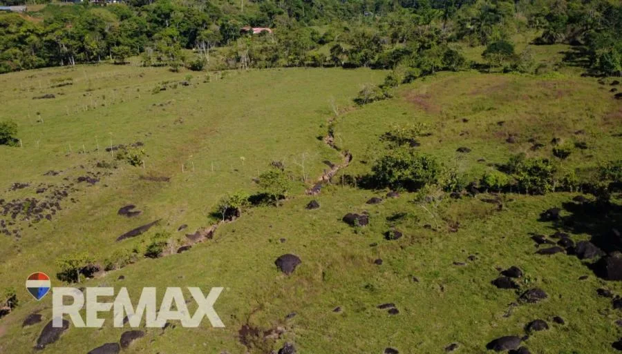 FINCA EN VENTA DE 65.639 m² CON VISTA AL CERRO CHIRRIPÓ – FRENTE A CALLE PAVIMENTADA - Venta en Perez Zeledón — photo 3