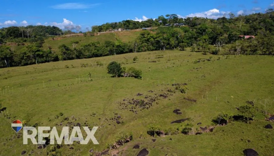 FINCA EN VENTA DE 65.639 m² CON VISTA AL CERRO CHIRRIPÓ – FRENTE A CALLE PAVIMENTADA - Venta en Perez Zeledón — photo 4
