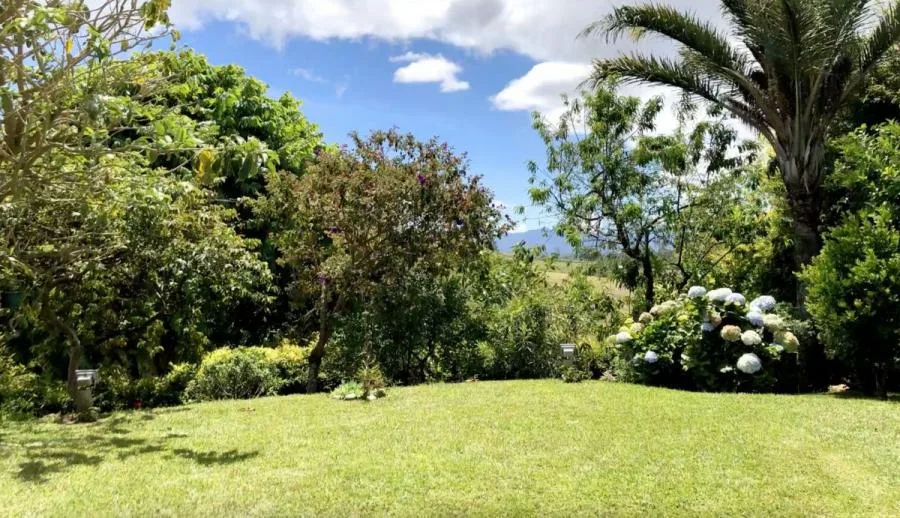 CityMax Vende Casa en Ipis Goicoechea - Venta en Goicoechea — photo 4