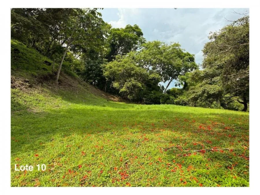 Venta de Lote en La Ceiba de Orotina. RAH 26-852 - Venta en Orotina
