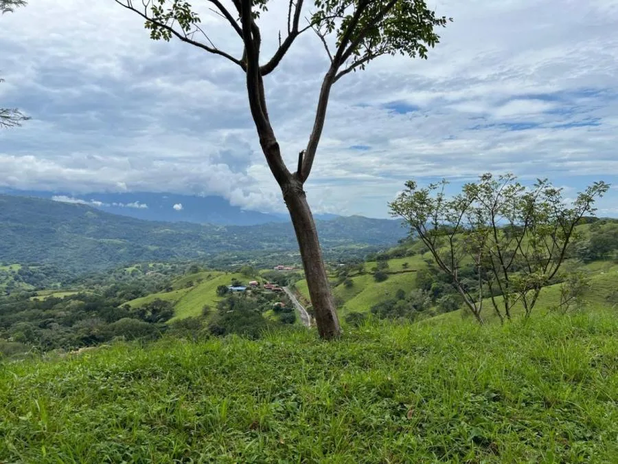 Se alquila apartamento en San Rafael Alajuela 26-1957 - Alquiler / Renta en Atenas