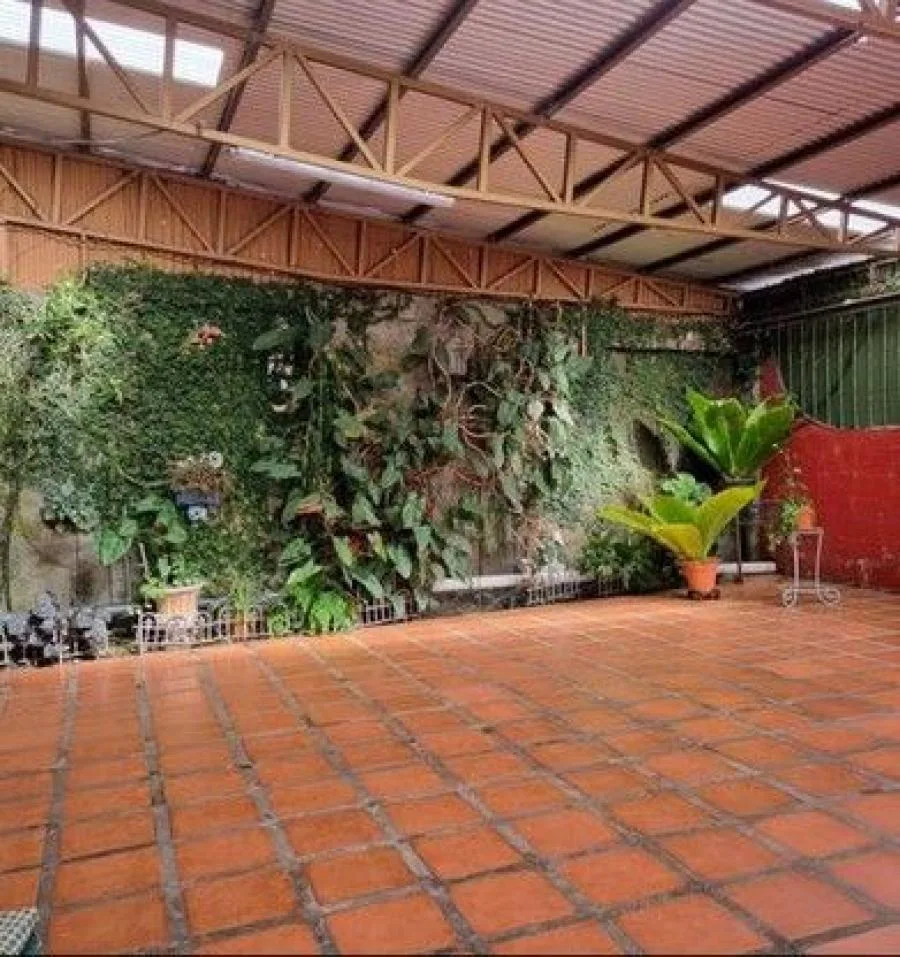 Casa en Venta en Moravia, Platanal,1 Planta en Desnivel,5PJG8388087 - Venta en Moravia