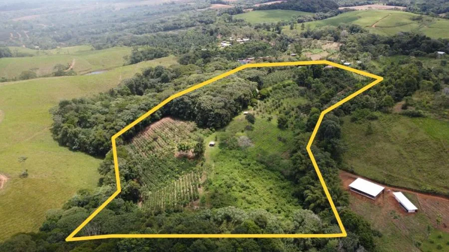FINCA 5.5HA CON 2 CASAS Y AGUA TODO EL AÑO-PZ,COSTA RICA. - Venta en Perez Zeledón