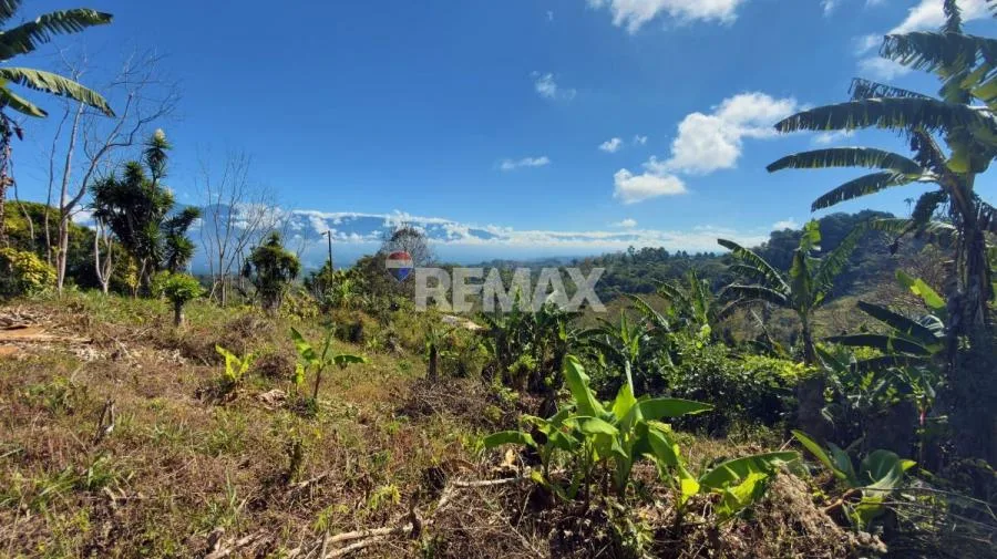 LOTE CON VISTA A LA CORDILLERA DE TALAMANCA EN PÉREZ ZELEDÓN - Venta en Perez Zeledón — photo 2