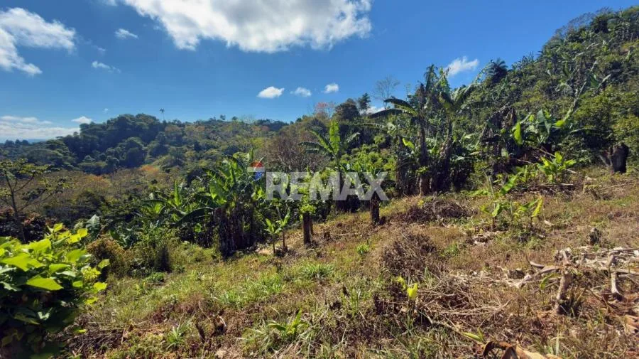 LOTE CON VISTA A LA CORDILLERA DE TALAMANCA EN PÉREZ ZELEDÓN - Venta en Perez Zeledón — photo 4