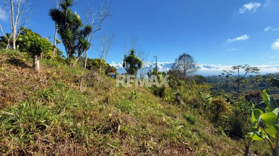 LOTE CON VISTA A LA CORDILLERA DE TALAMANCA EN PÉREZ ZELEDÓN - Venta en Perez Zeledón — photo 5