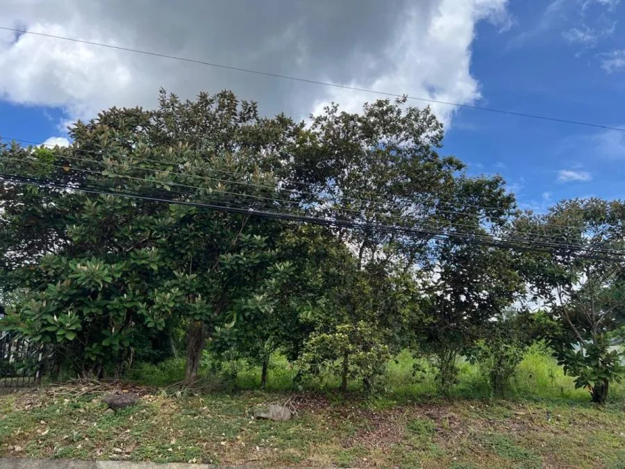 Lote Residencial en Turrubares con Acceso Directo  #26-1315 GS - Venta en Turrubares — photo 3