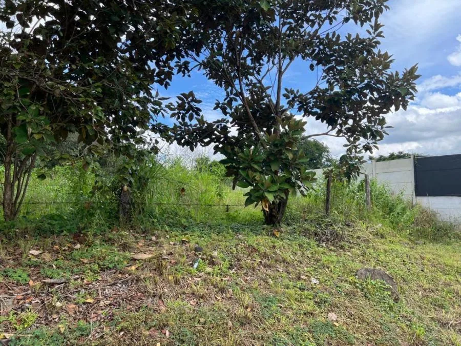Lote Residencial en Turrubares con Acceso Directo  #26-1315 GS - Venta en Turrubares — photo 4