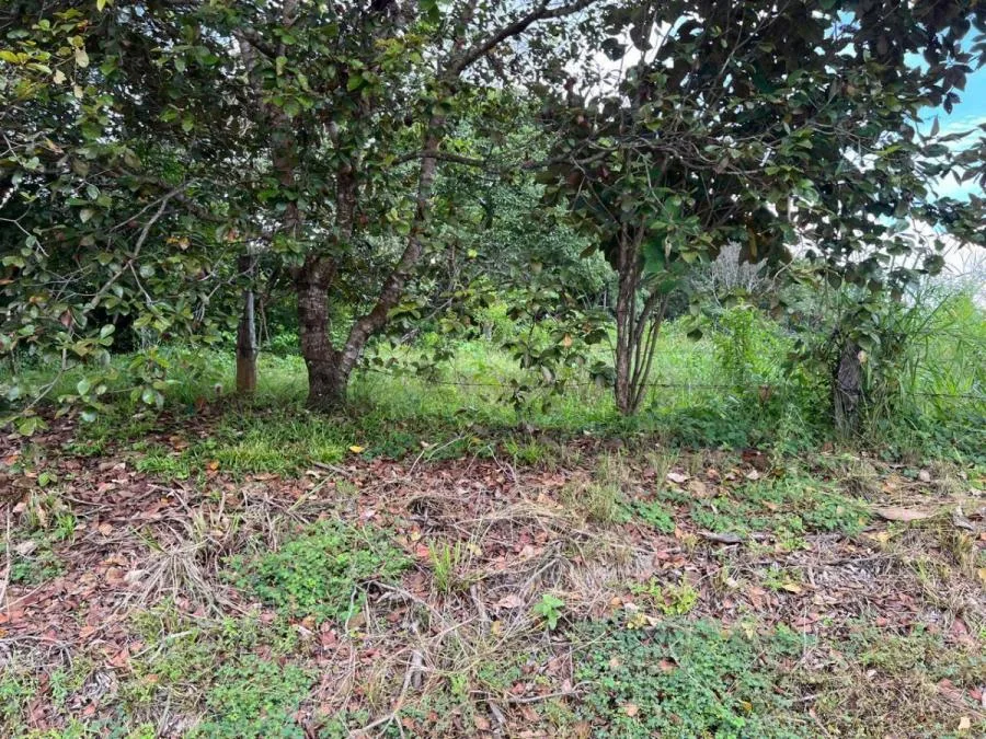 Lote Residencial en Turrubares con Acceso Directo  #26-1315 GS - Venta en Turrubares — photo 5
