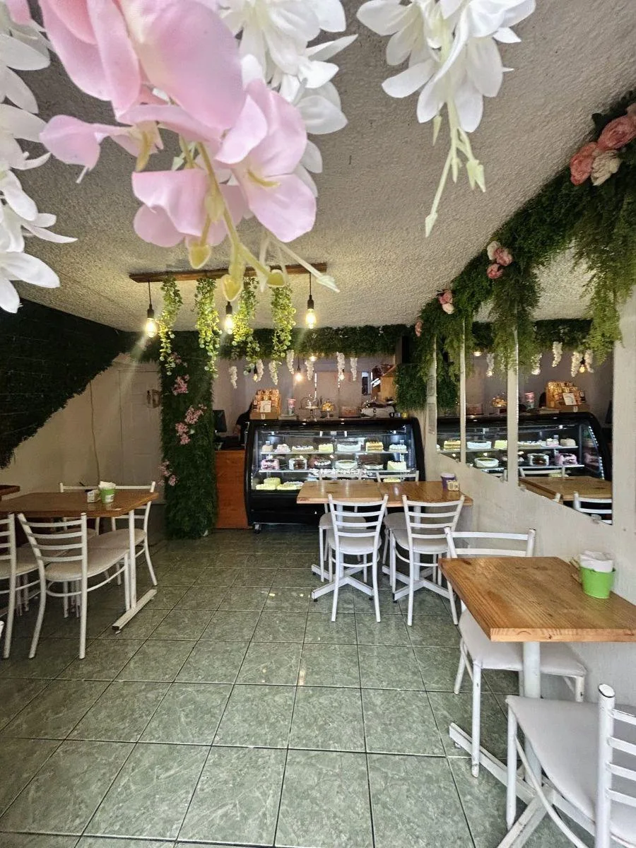 Venta de fondo de comercio con dos sedes y alta rentabilidad en San José US$ 550,000 # 6500 - Venta en San José — photo 4