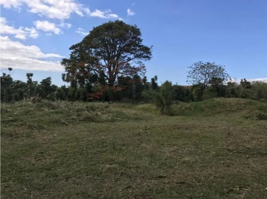 VENTA DE LOTE, HEREDIA, SAN PABLO, LAS CRUCITAS - Venta en San Pablo — photo 2