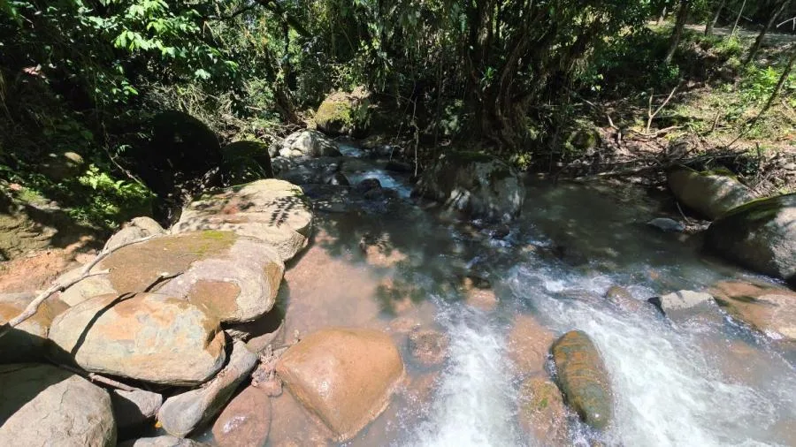FINCA DE 3.2HA EN LAS FALDAS DEL CHIRRIPÓ, EN PZ. - Venta en Perez Zeledón — photo 4