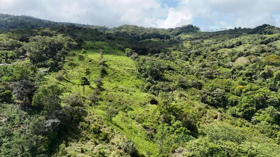 FINCA DE 3.2HA EN LAS FALDAS DEL CHIRRIPÓ, EN PZ. - Venta en Perez Zeledón — photo 5