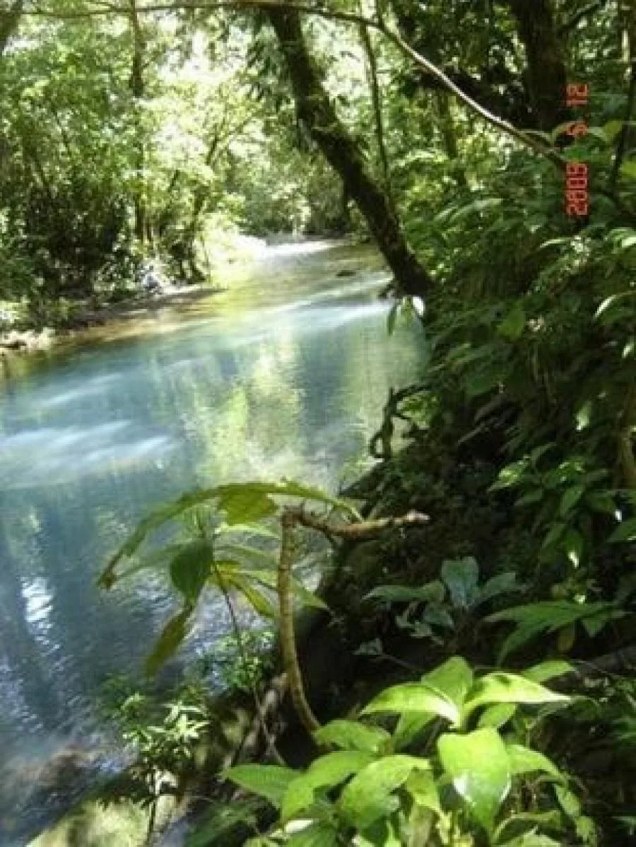 Súper Oferta! Finca Lechera en Bijagua de Upala, San Carlos De Alajuela Costa Rica. - Venta en Upala